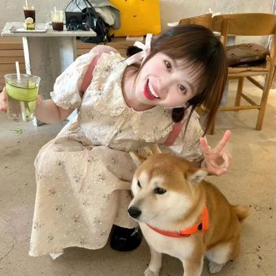 渚北谜案